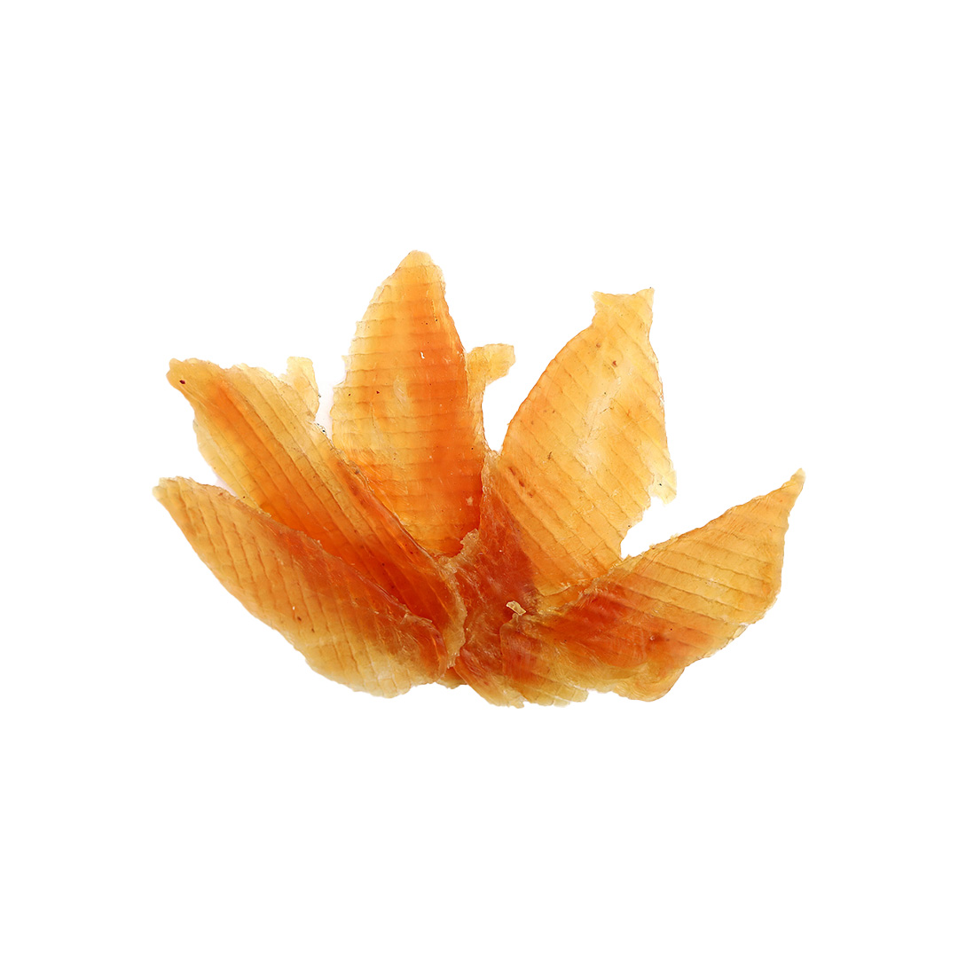 تشويقی سگ فيله مرغ