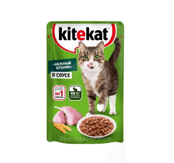 پوچ گربه کيت کت خرگوش در سس